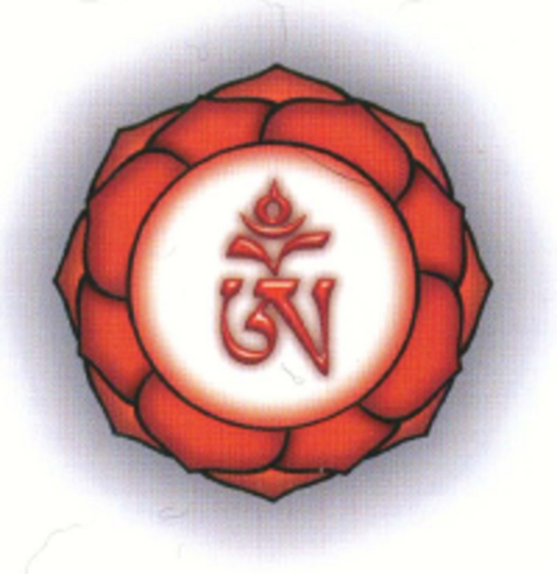 Чакры и Нади тонкого тела и их проекция на физическом уровне